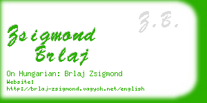 zsigmond brlaj business card